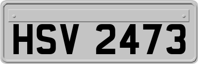 HSV2473