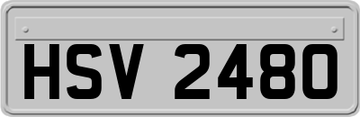 HSV2480