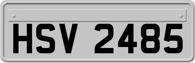 HSV2485