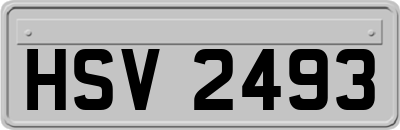 HSV2493