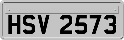 HSV2573