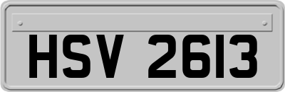 HSV2613