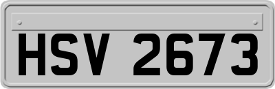 HSV2673