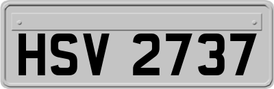 HSV2737