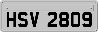 HSV2809