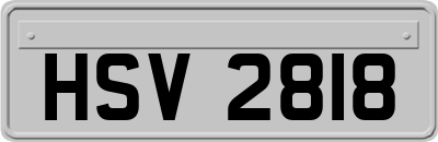HSV2818