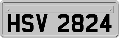 HSV2824