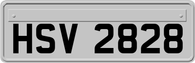 HSV2828