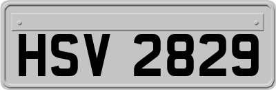 HSV2829