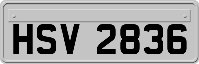 HSV2836