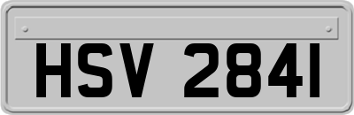 HSV2841