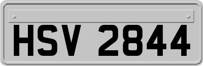 HSV2844