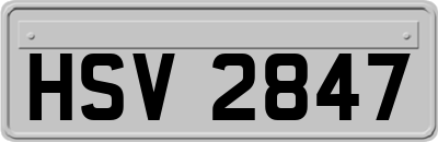 HSV2847