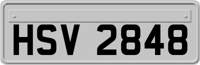 HSV2848