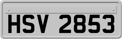 HSV2853