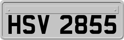HSV2855