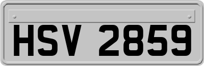 HSV2859