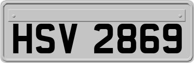 HSV2869
