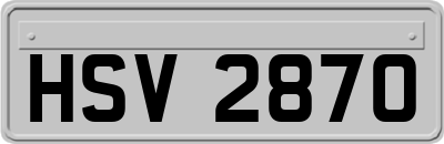 HSV2870