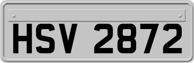 HSV2872