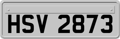 HSV2873