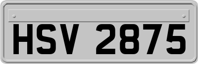 HSV2875