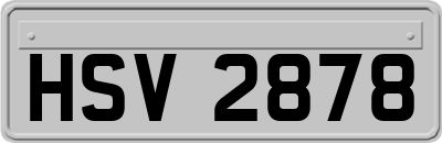 HSV2878