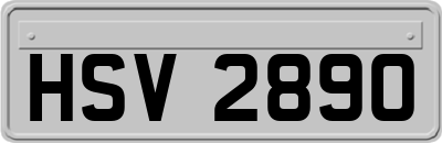 HSV2890