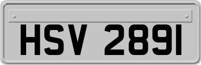HSV2891