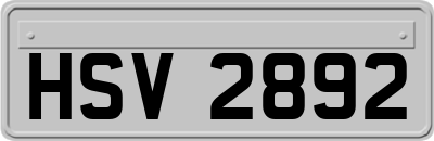 HSV2892