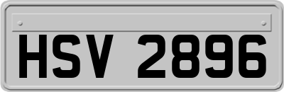 HSV2896