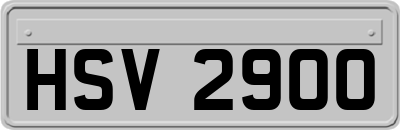 HSV2900