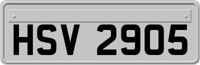 HSV2905