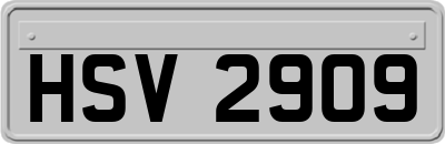 HSV2909