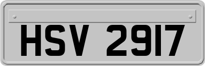 HSV2917