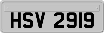 HSV2919