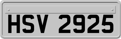 HSV2925