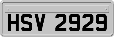 HSV2929