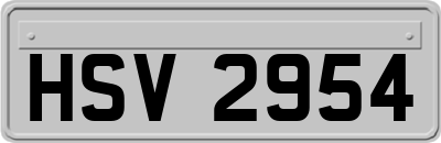 HSV2954