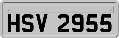 HSV2955