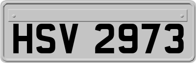 HSV2973