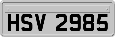 HSV2985