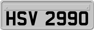 HSV2990