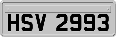 HSV2993