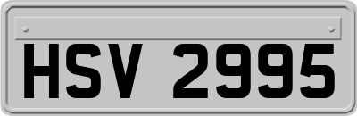 HSV2995