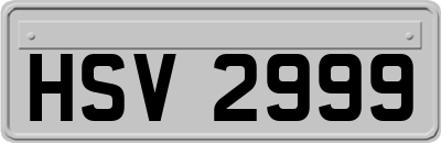 HSV2999