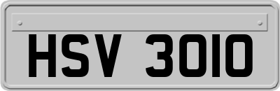HSV3010