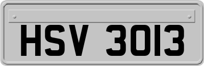 HSV3013