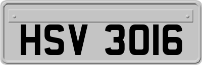 HSV3016