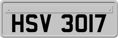 HSV3017